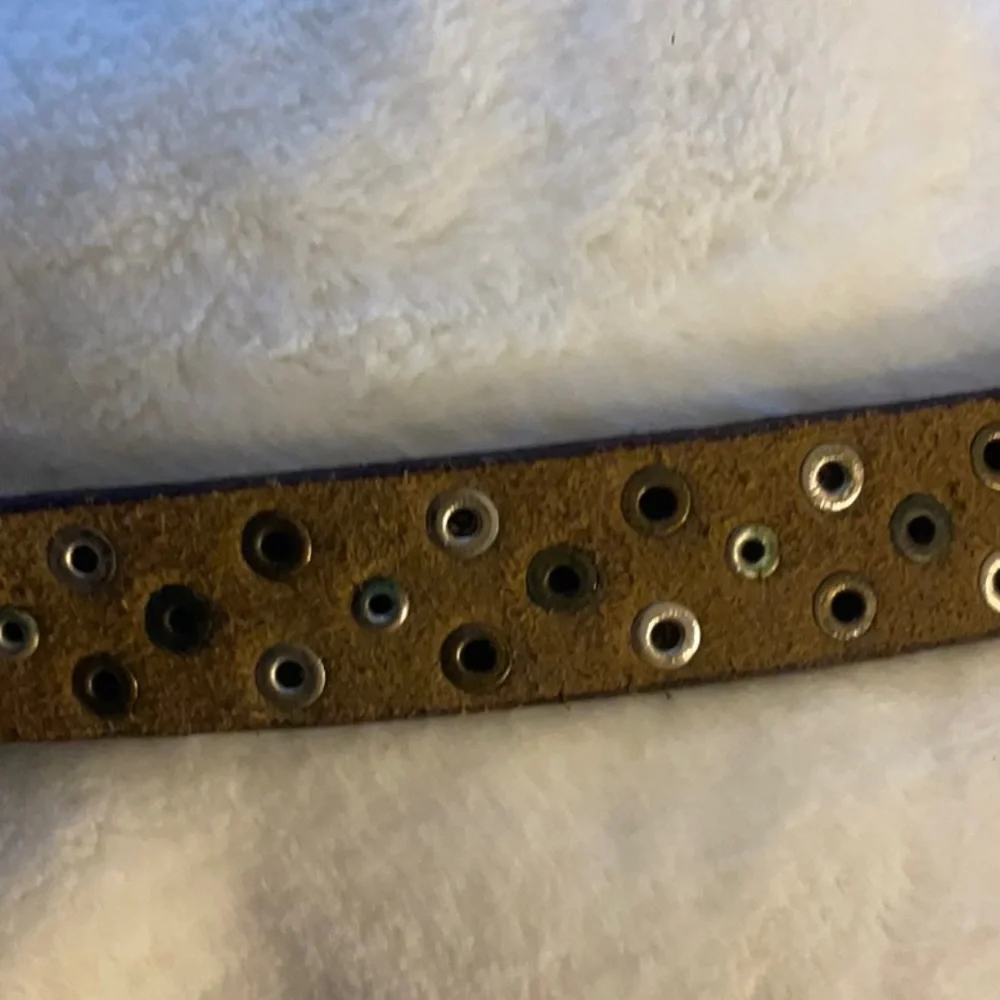 New leather dog collars